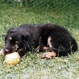 Bild16
