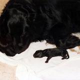 Bild5
