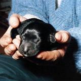 Bild7