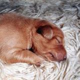 Bild8