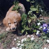 Bild11