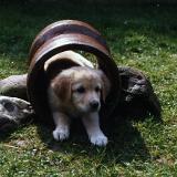 Bild7