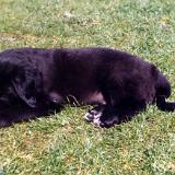 Bild8