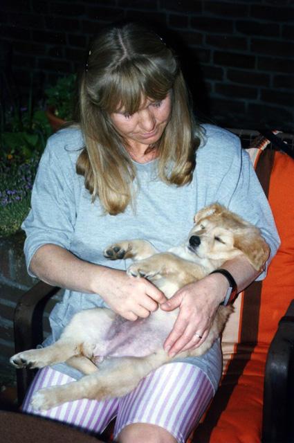 Bild13