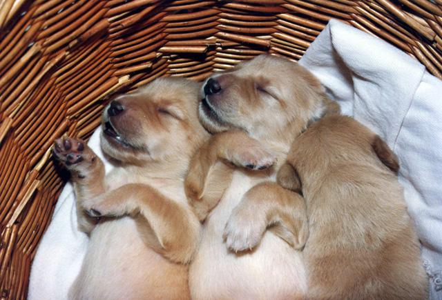 Bild3