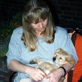 Bild13