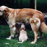 Bild7