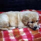 Bild9